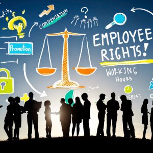 Employment Law v Insolvency Law – Who Wins?
